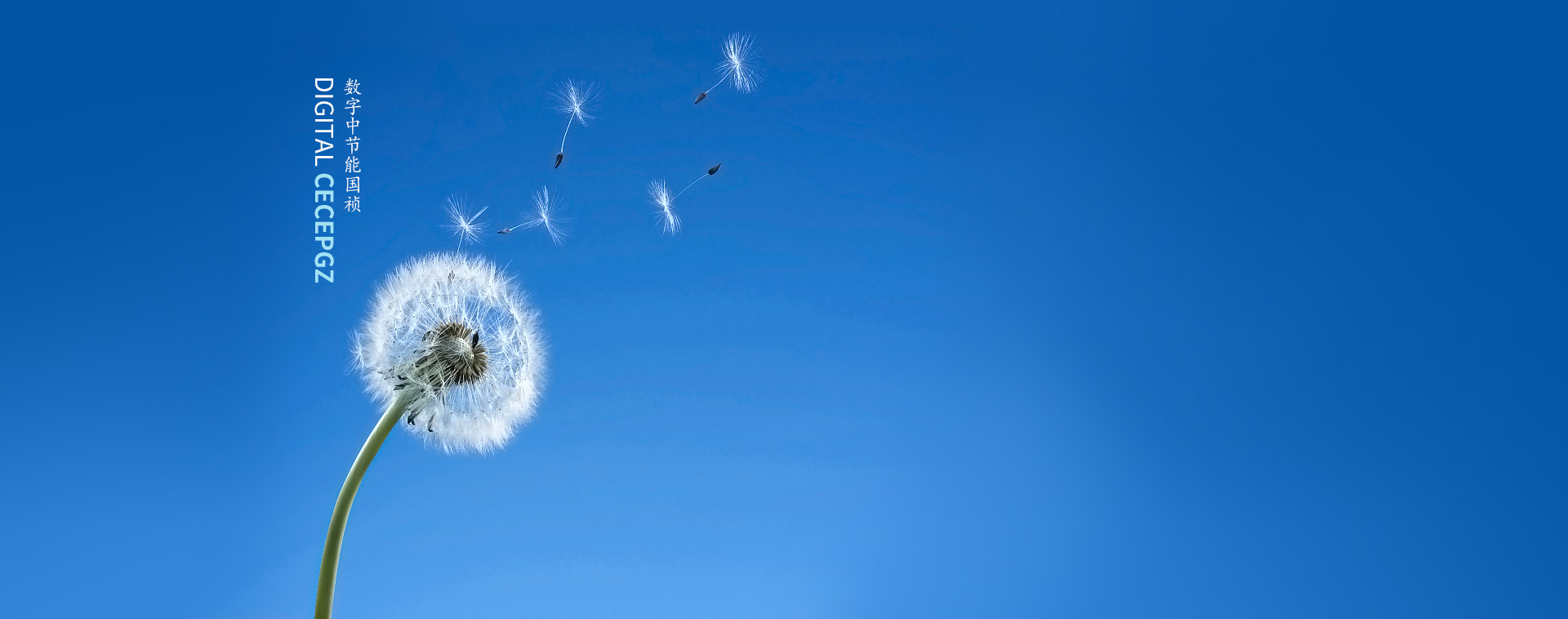 中節(jié)能國(guó)禎環(huán)?？萍脊煞萦邢薰? />
            <div   id=