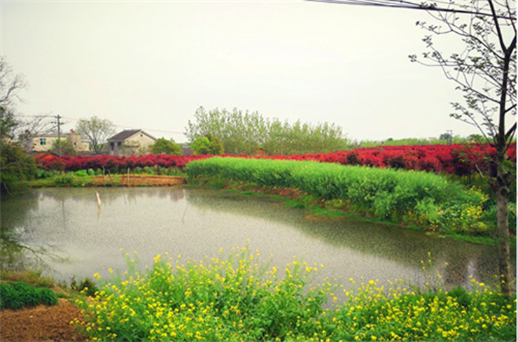 國禎環(huán)保-快樂國禎環(huán)湖毅行沿途風景